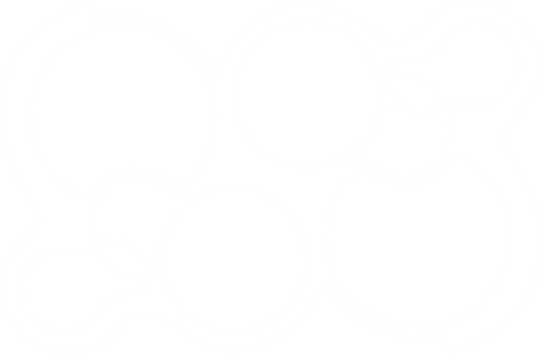 ENEY公式オンラインストア